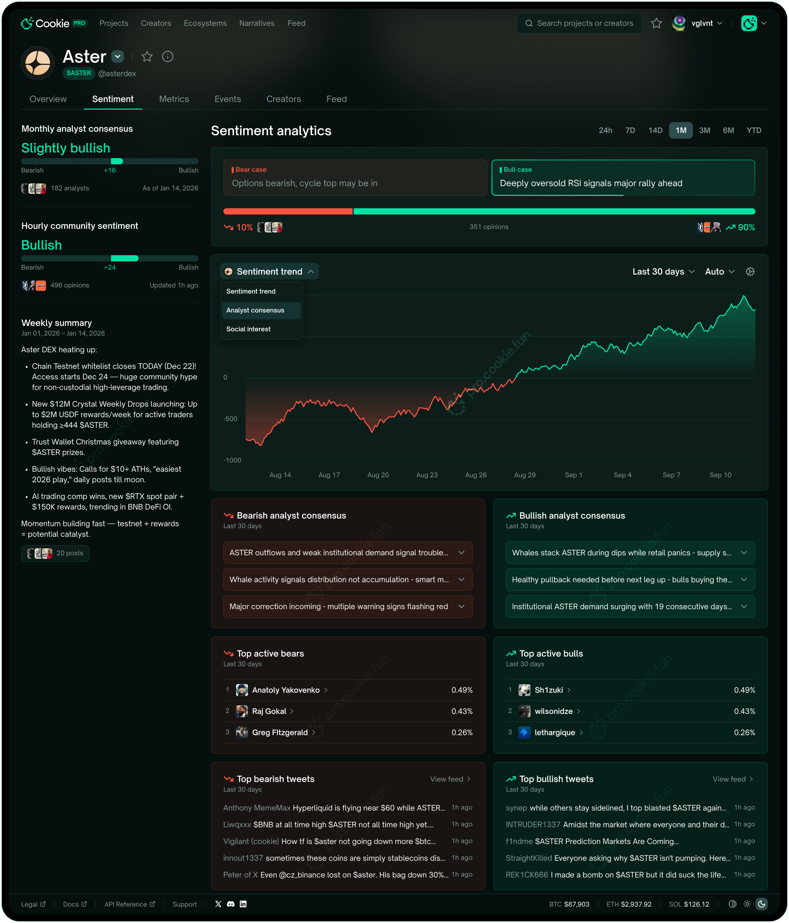 Project page — Sentiment analytics